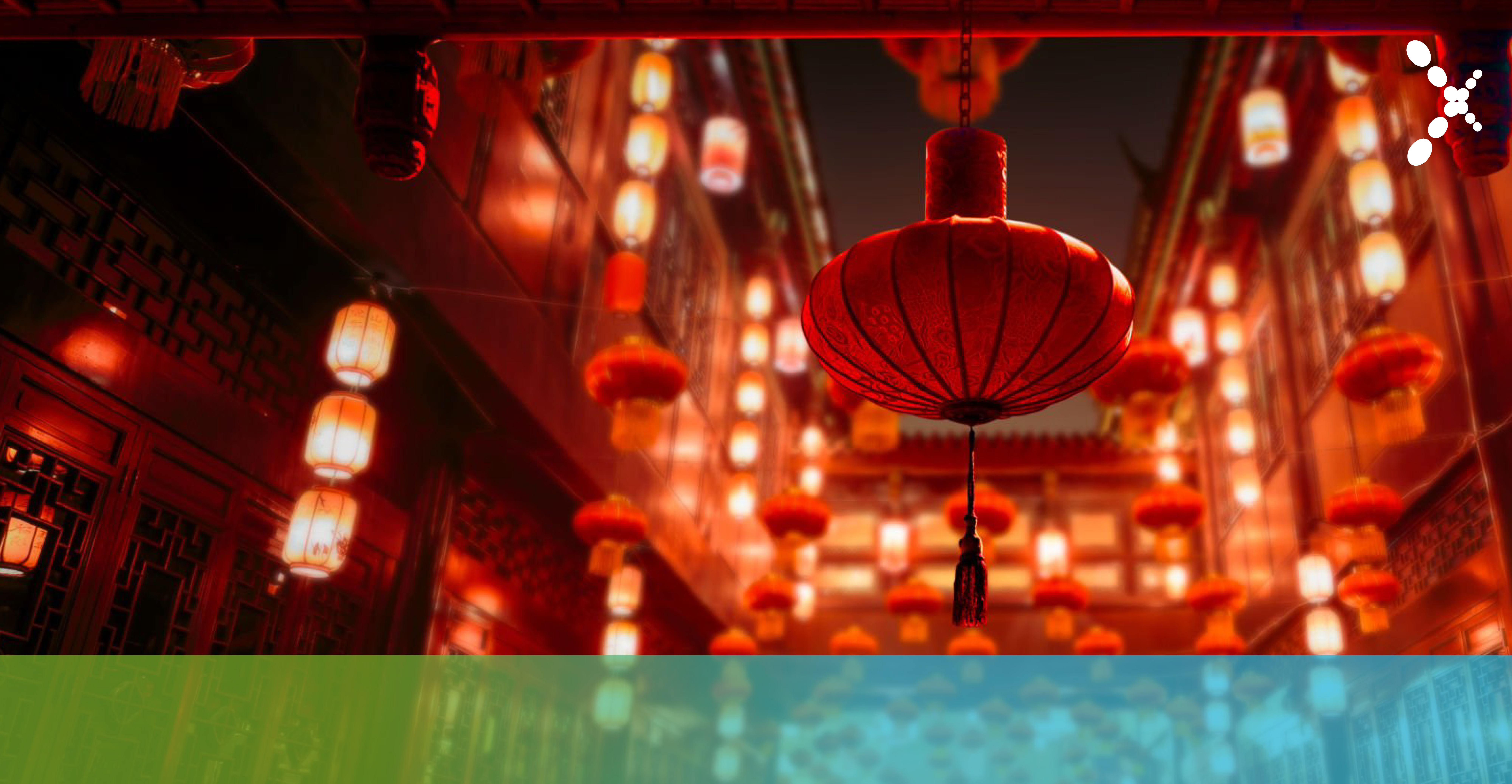 Get your business prepared for the Chinese New Year!